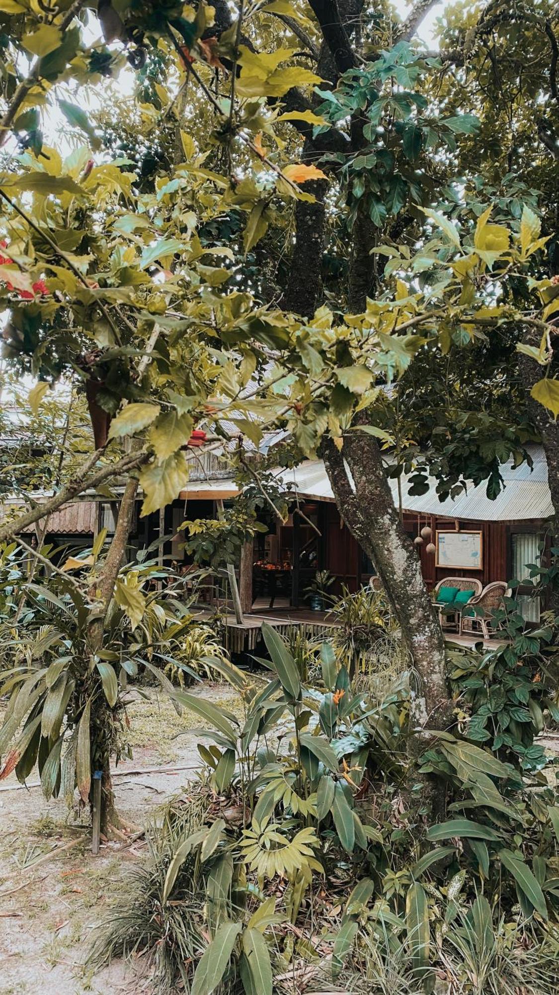 Bukit Raya Guesthouse Palangkaraya Bagian luar foto